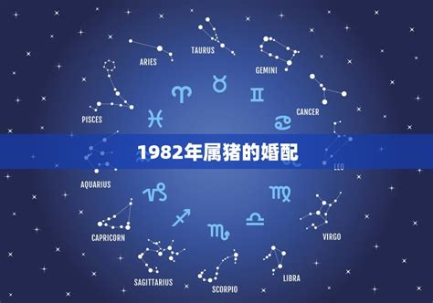 1982 属相